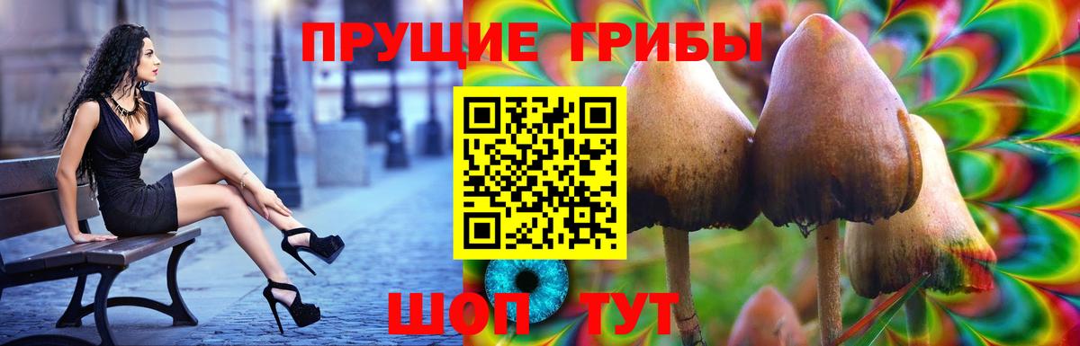 что такое   Псилоцибиновые грибы мицелий  Галлюциногенные грибы Magic Shrooms  Вход с VPN  Сургут 